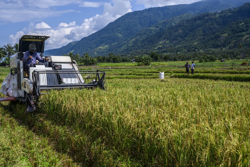 Indonesia kỳ vọng đưa thu nhập nông dân tăng gấp 5 lần